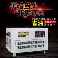 高原用12KW汽油發電機