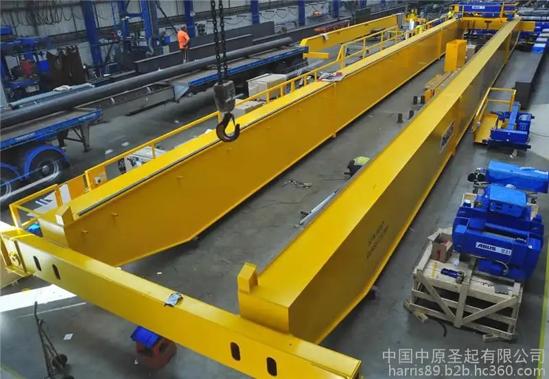 成都新都區，都江堰單雙梁歐式起重機